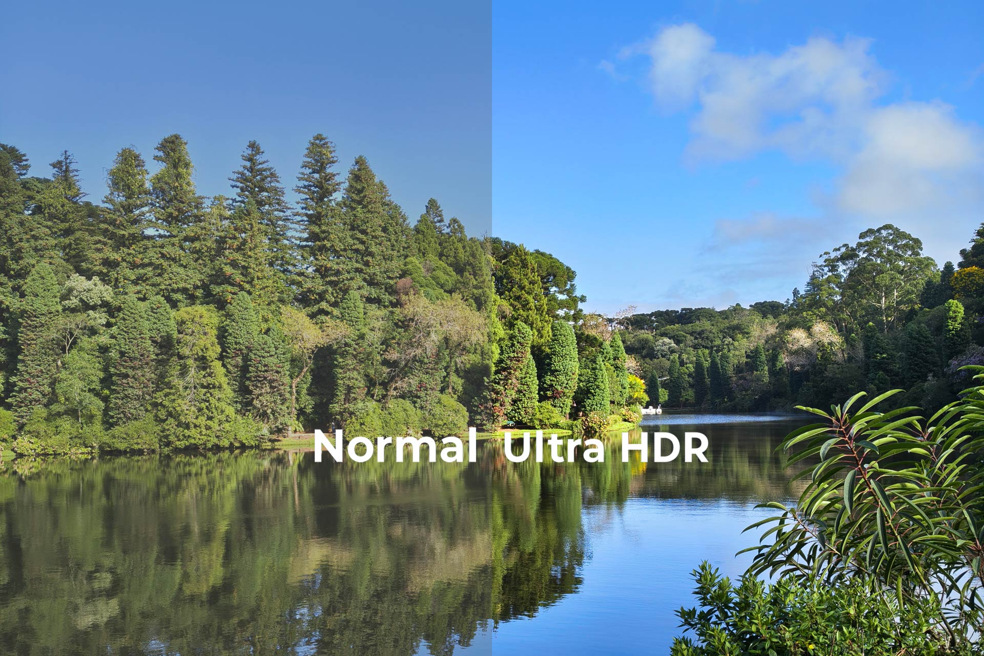 motorola razr edge instagram