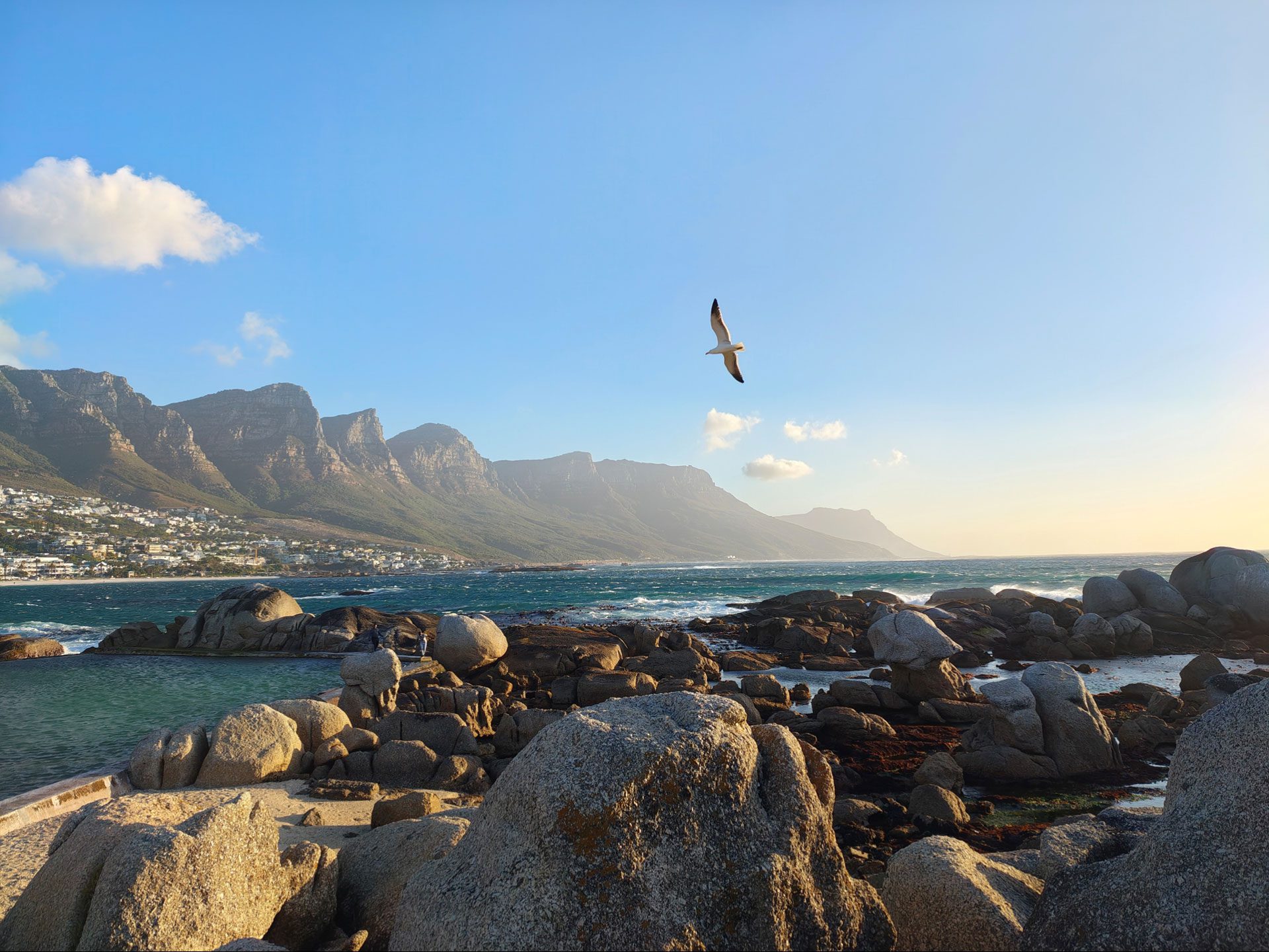 motorola signature fotos