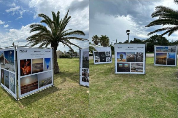 motorola verano 2024