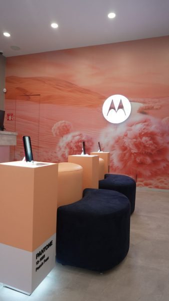 Tienda Motorola Tezontle