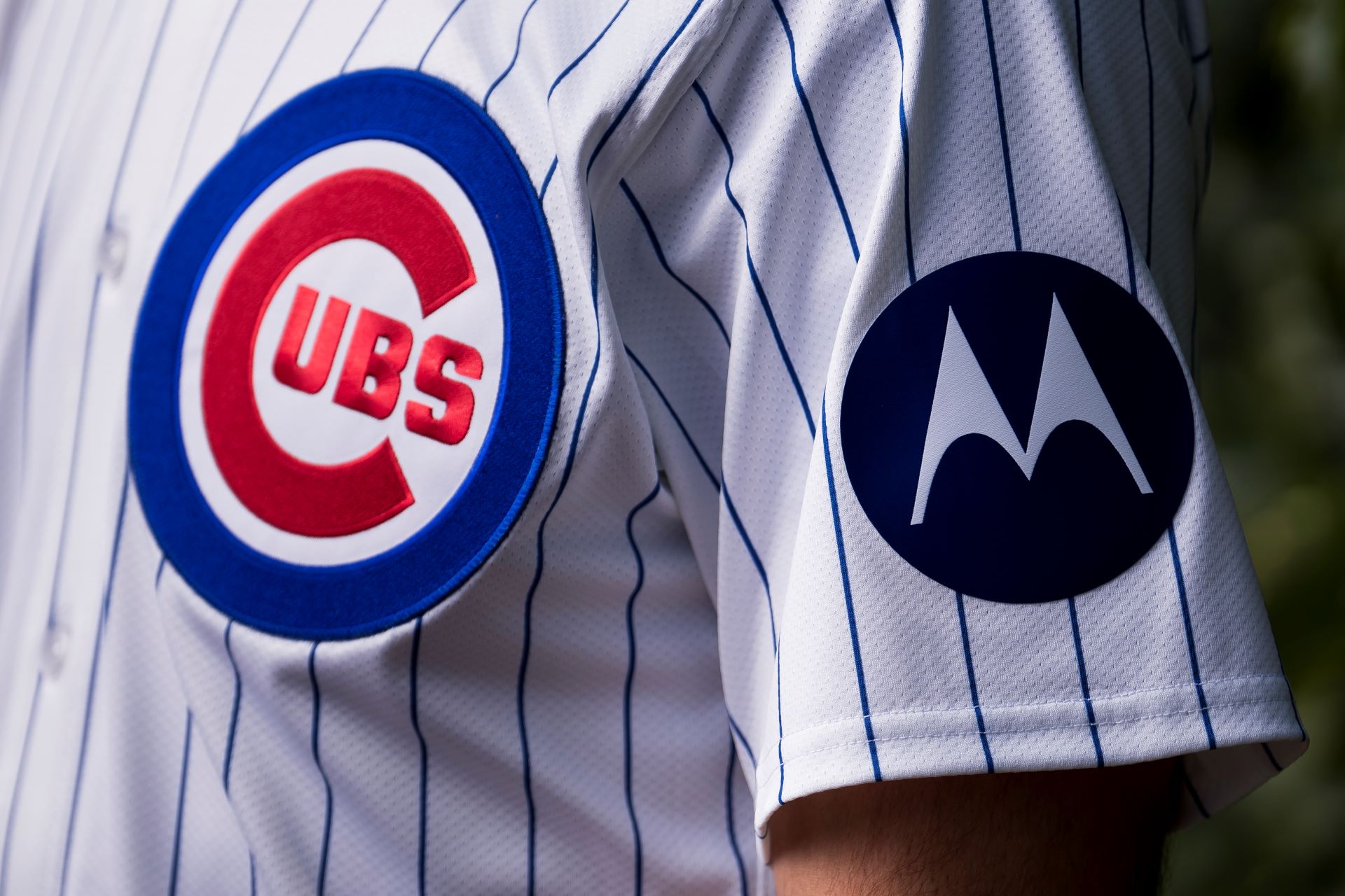 CHICAGO CUBS PARTNERSHIP