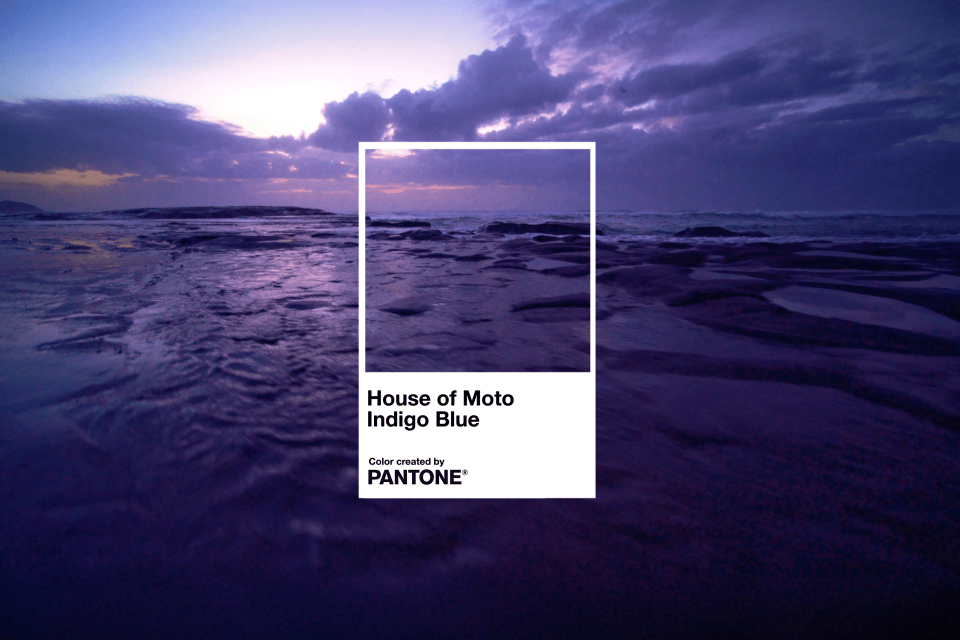 HOUSE OF MOTO INDIGO